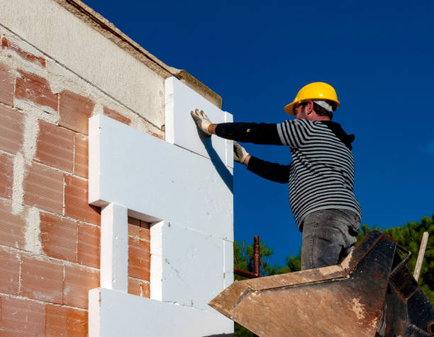 Best Types of Insulation in Somerville, TX