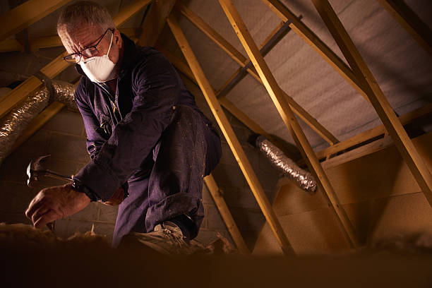 Best Insulation Maintenance and Repair in Somerville, TX